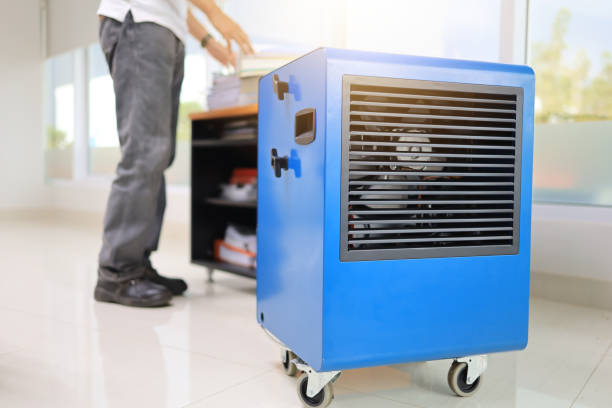 Best Commercial Mold Inspection  in Miami Heights, OH